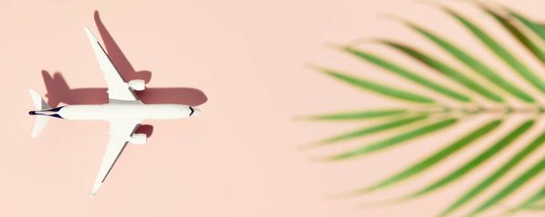 Miniature white airplane on a pink background and tropical leaf. Banner, flat lay, creative concept of vacation, tourism, travel. Copy space - Foto, imagen
