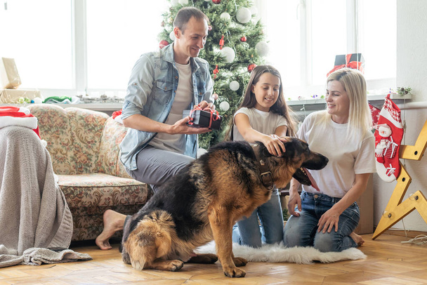 Vánoční rodinný portrét v domácím obývacím pokoji, dětská a psí hra, dárek box, dům zdobení vánoční strom. - Fotografie, Obrázek