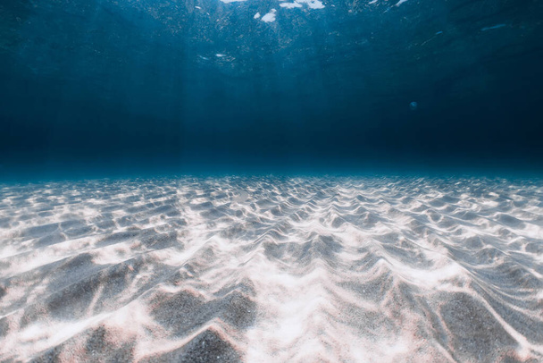 Transparent blue ocean with sandy bottom underwater in West Australia - Foto, afbeelding