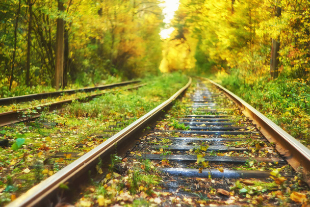 Opuszczony kolejowych pod jesień kolorowych drzew. Tunelu miłości. Niewyraźne tło - Zdjęcie, obraz