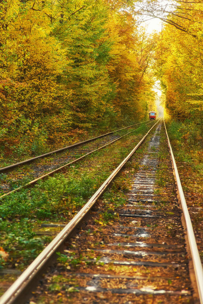 Piros retro villamos megy keresztül az őszi erdőben az útvonalon - Fotó, kép