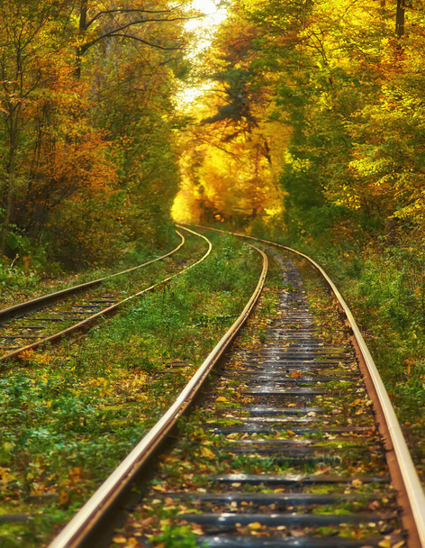 Chemin de fer abandonné sous tunnel d'arbres colorés d'automne, feuilles dorées tombant vers le bas
 - Photo, image