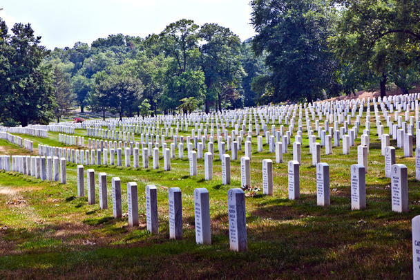Lápidas en el Cementerio Nacional de Arlington
 - Foto, Imagen