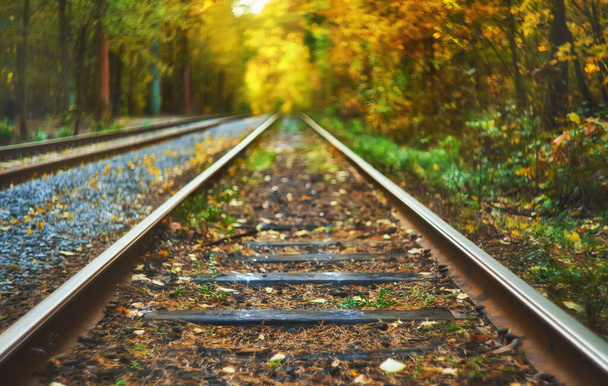 Opuszczony kolejowych pod jesień kolorowych drzew. Tunelu miłości. Niewyraźne tło - Zdjęcie, obraz