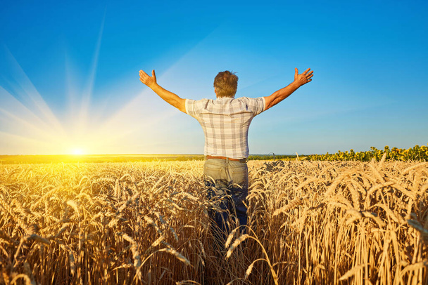 Un hombre adulto en un campo de cultivo entre cereales maduros y levantó los brazos a los lados. Cosecha, vida rural, concepto de libertad. - Foto, imagen