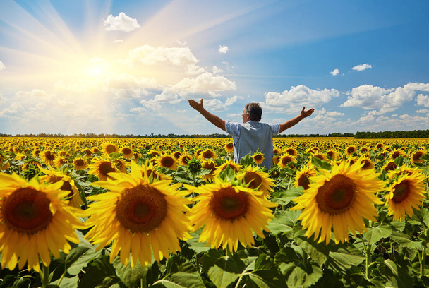 Erfolgreicher ukrainischer Bauer auf einem Sonnenblumenfeld. Ein älterer Bauer steht lächelnd auf einem Feld mit friedlichem Himmel. Ukraine. - Foto, Bild