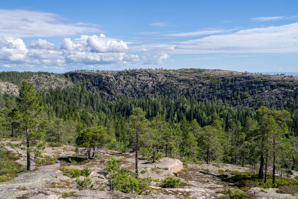 Stunning View of Skuleskogen National park and Sweden High Coast idyllic Wilderness near Archipelago of Baltic Sea. Famous Weekend escape with Steep mountains and deep Canyons. - Foto, imagen