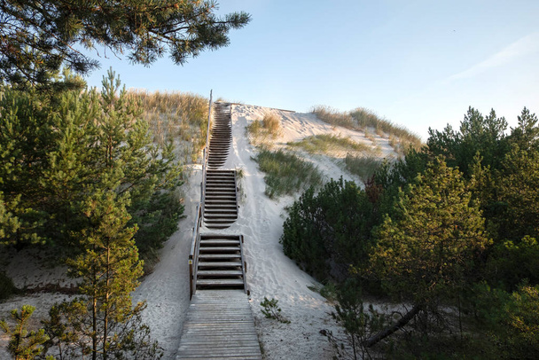 Wooden stairs to the beach covered with sand. Lubiatowo dunes, nature park with a protected coastal strip by Baltic sea.  - Foto, Bild