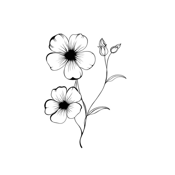 Flowers Periwinkle. Hand drawing. Outline. On a white background. Beautiful sketch of a tattoo - a delicate twig with flowers. botany design element - Fotoğraf, Görsel