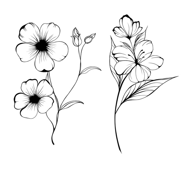 Set Flowers Periwinkle. Hand drawing. Outline. On a white background. Beautiful sketch of a tattoo - a delicate twig with flowers. botany design element - Photo, Image