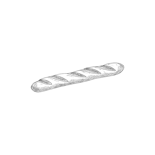 French baguette isolated oblong shape bun sketch. Vector bakery product, wheat bread, pastry food - Vektör, Görsel