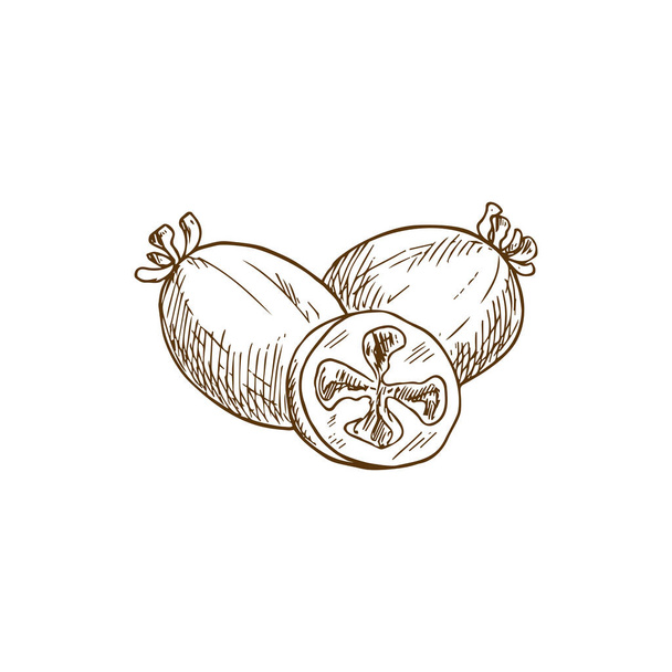 Sketch feijoa fruit, vector tropical plant. Isolated whole and half natural exotic fruits, engraved ripe organic product, design element on white background - Vecteur, image
