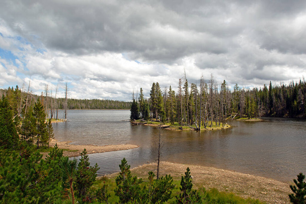 Peaceful lake scene with pine trees and beautiful waters  - Zdjęcie, obraz
