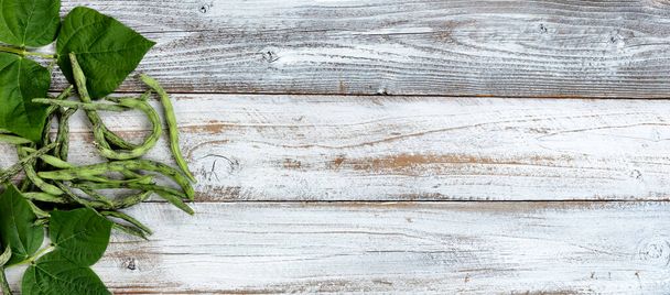 Overhead view of green pole beans freshly harvested on white rustic wood with copy space  - Fotografie, Obrázek