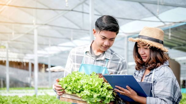 2 Αγρότης επιθεωρήσει την ποιότητα των λαχανικών οργανική σαλάτα και μαρούλι από υδροπονική φάρμα και να κάνει σημειώσεις στο πρόχειρο για να δώσει στους πελάτες το καλύτερο προϊόν. - Φωτογραφία, εικόνα