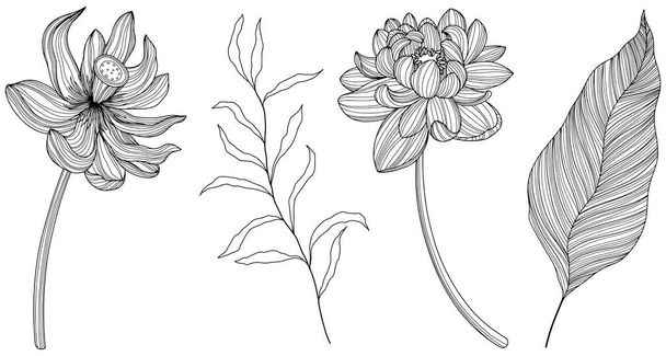 Flores abstratas isoladas sobre branco. Ilustração vetorial de linha desenhada à mão. Eps 10 - Vetor, Imagem