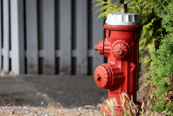 A red fire hydrant with a wooden fence in the background - Foto, imagen