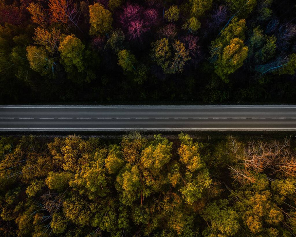 An aerial top view of an open road surrounded with colorful trees in an autumn forest - Φωτογραφία, εικόνα