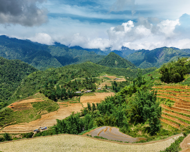 Рисові поля тераси. Поблизу Сапа, В'єтнам - Фото, зображення