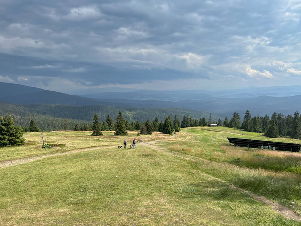 Beskid Zywiecki, Hala Lipowska picturesque mountains with beautiful views where dog hikes are possible. - Foto, Imagen