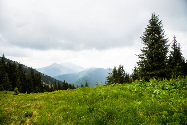 Γραφικό ορεινό τοπίο, Καρπάθια. Φθινόπωρο ορεινό τοπίο με κορυφές στον ορίζοντα - Φωτογραφία, εικόνα