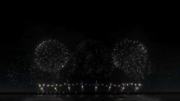 Echte Feuerwerksfeier, buntes Feuerwerk 4K - Filmmaterial, Video