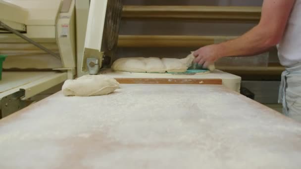 Kneading Dough. Baker preparing the dough for bread. Manufacture of bakery products. The baker is making dough products. High quality 4k footage - Πλάνα, βίντεο