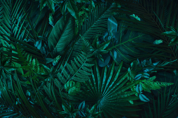 Close up nature view of green leaf and palms. Summer background abtract art with green tropical leaves.Minimal concept. - Zdjęcie, obraz