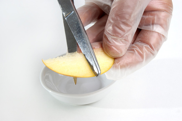 В пищевой лаборатории изучают один кусочек яблока
 - Фото, изображение