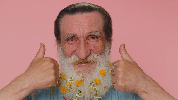 Idős érett ember virágos szakáll felemeli hüvelykujját egyetért valamivel, vagy ad pozitív választ ajánlja hirdetés szereti a jó. Senior öreg nagyapa elszigetelt egyedül rózsaszín stúdió háttér - Fotó, kép