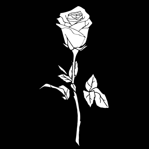 white drawing of a rose on a black background, silhouette of a flower, isolated element, graphics, design - Vector, Imagen
