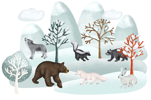 Illustration of woodland animals in winter forest landscape, forest cute characters illustration on white background - Photo, image