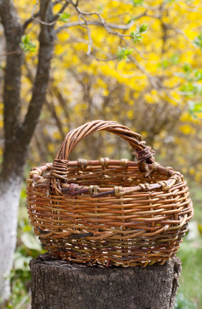 Old wicker basket in a garden - Foto, imagen