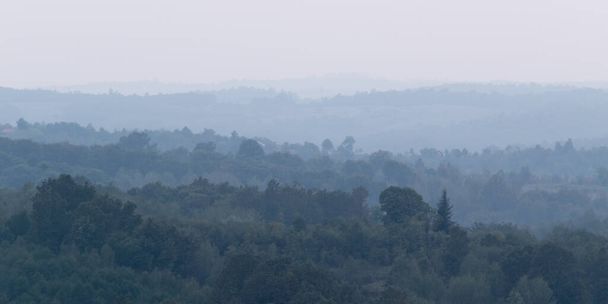 Atmospheric scene of lush forest layers in mist during autumn dusk in countryside, shades of blue - Photo, Image