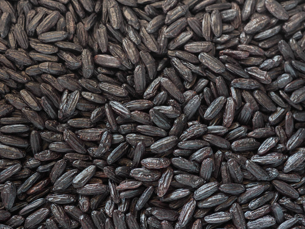 venus black rice medium grain Italian and Chinese crossbreeding variety - Photo, Image