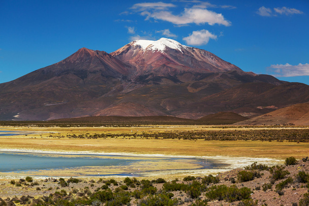 Bolívia-hegység - Fotó, kép