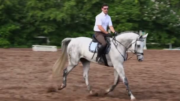Reiterin reitet zu Pferd - Filmmaterial, Video