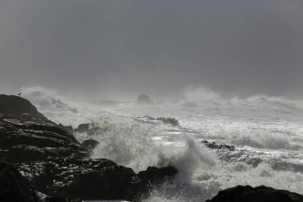 Dramatic rough sea. Northern portuguese rocky coast. - Photo, image