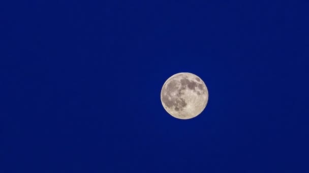 Super Moon in the sky - Materiał filmowy, wideo