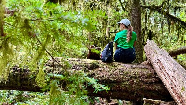 MacMillan Provincial Park Seven Wonders of Canada Vancouver island ancient Douglas fir Cathedral Grove old growth Douglas fir forest British Columbia cathedral grove huge thousand year old trees moss - Foto, Imagem