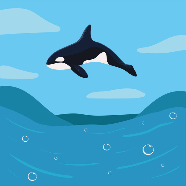 orca whale on ocean, vector design - Vector, imagen