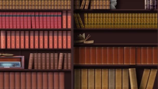 Масштабування і панорамування на обраній книзі з вінтажної книжкової шафи, магічно витягнутої
 - Кадри, відео
