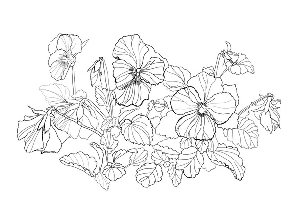 Viola flowers - Διάνυσμα, εικόνα