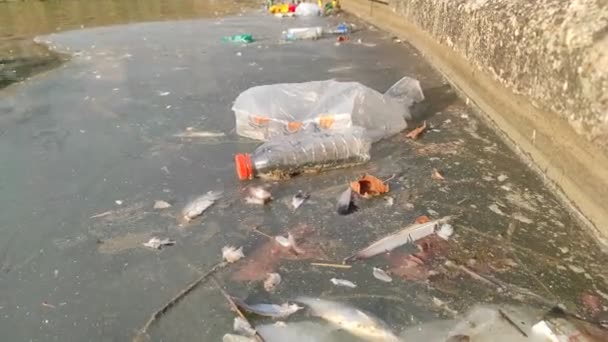 Большое загрязнение окружающей среды. Пластиковые баулы, сумки, ловушки в реке или озере - Кадры, видео
