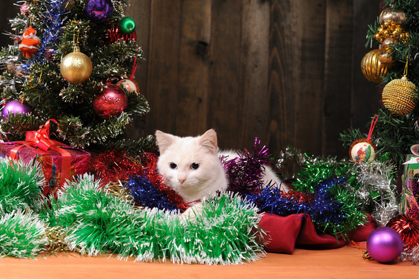 Gato branco jogando árvore de Natal
 - Foto, Imagem