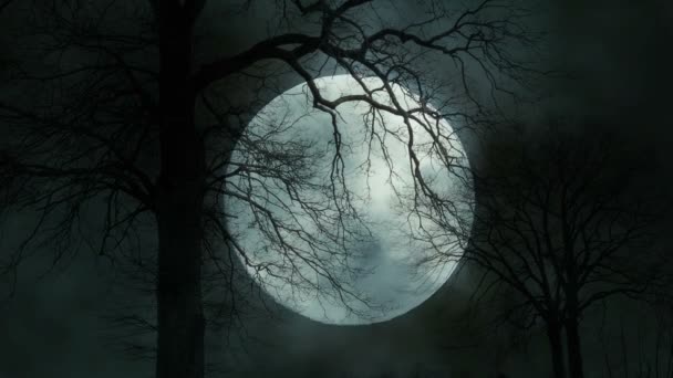 Full moon és a fák - Felvétel, videó