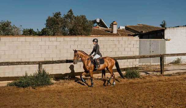 Μια νεαρή γυναίκα με στολή ιππασίας τρέχει το άλογό της στην αρένα ιππασίας. Σχολή ιππασίας - Φωτογραφία, εικόνα