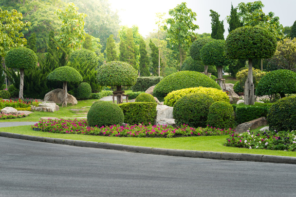 Gardening and Landscaping With Decorative Trees - Photo, Image