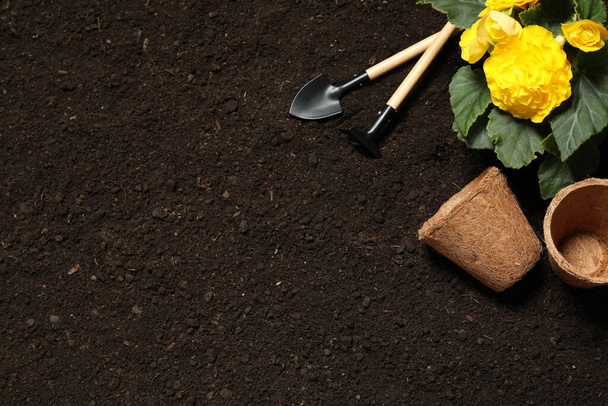Flat lay composition with gardening tools and flower on soil, space for text - 写真・画像