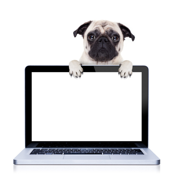 computer dog - Фото, изображение